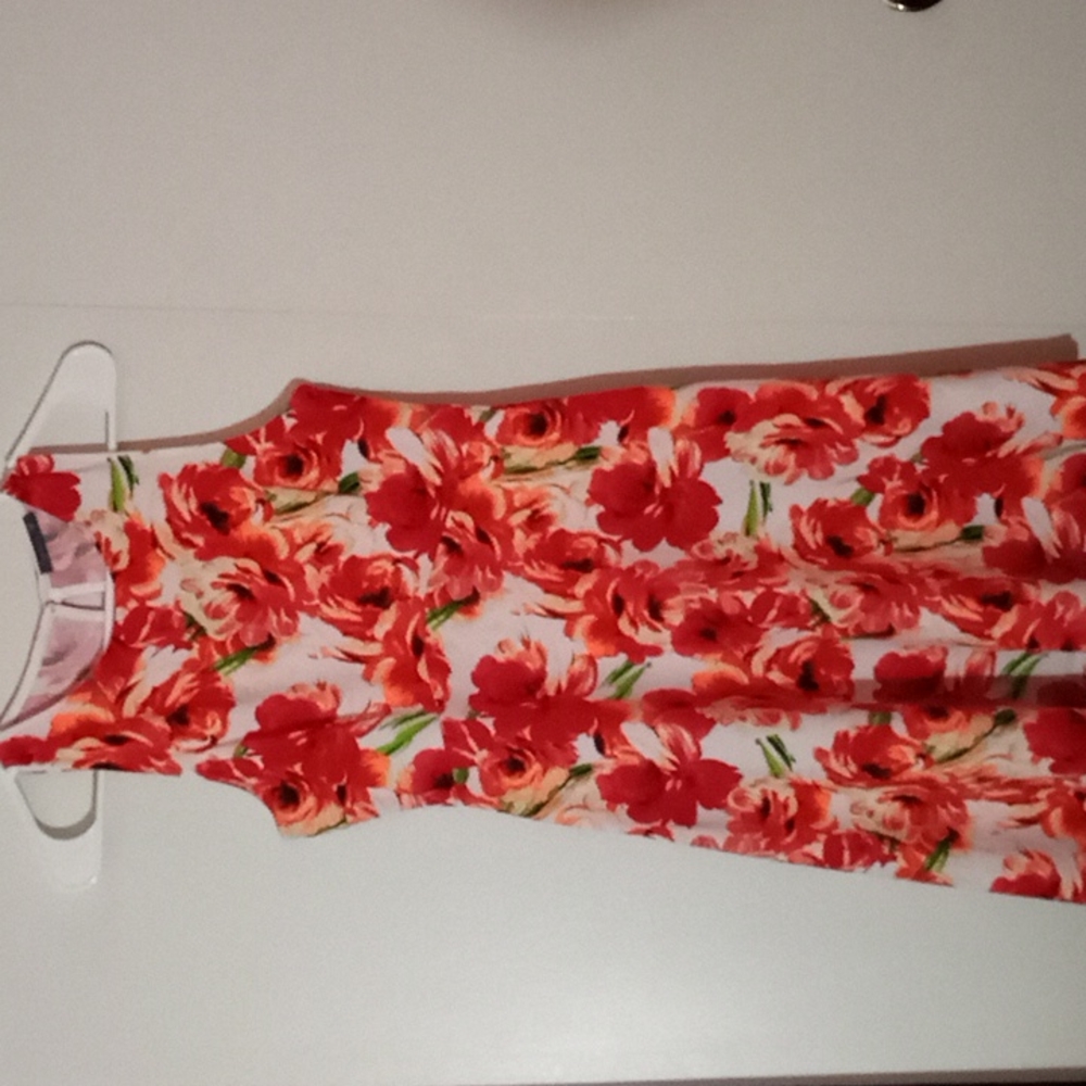 Soprano Bright Colored Dress